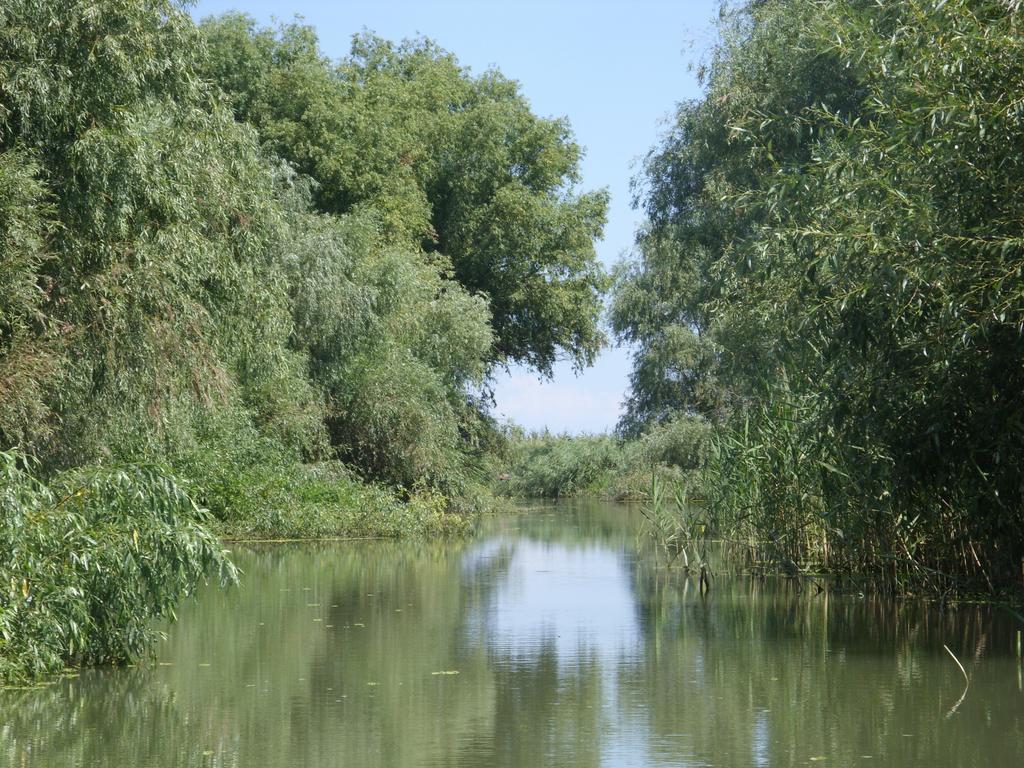 מלון סולינה Casa Oana מראה חיצוני תמונה
